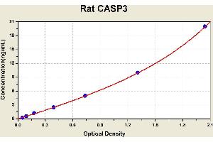 Diagramm of the ELISA kit to detect Rat CASP3with the optical density on the x-axis and the concentration on the y-axis. (Caspase 3 Kit ELISA)