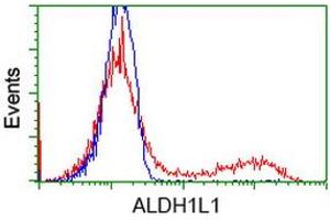 HEK293T cells transfected with either RC213720 overexpress plasmid (Red) or empty vector control plasmid (Blue) were immunostained by anti-ALDH1L1 antibody (ABIN2452751), and then analyzed by flow cytometry. (ALDH1L1 anticorps)