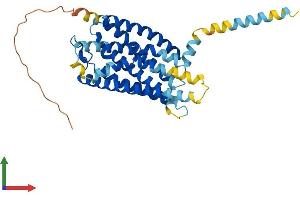 AlphaFold protein structure predicition of Human Recombinant GPR87 Protein, UniprotID Q9BY21