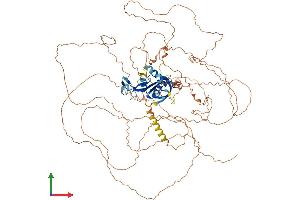 AlphaFold protein structure predicition of Mouse Recombinant Ddias Protein, UniprotID Q6NZG4