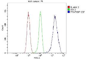 Flow Cytometry analysis of 293T cells using anti-PRMT1 antibody (ABIN7599706).