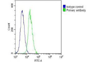 Overlay histogram showing NIH/3T3 cells stained with (ABIN6242693 and ABIN6578667) (green line).