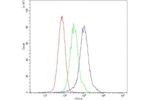 Flow cytometry testing of mouse ANA-1 cells with ARSA antibody at 1ug/10^6 cells (blocked with goat sera) (Arylsulfatase A anticorps)