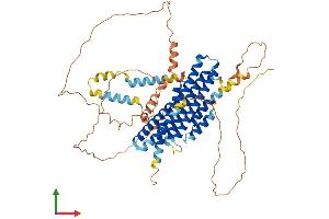 AlphaFold protein structure predicition of Mouse Recombinant Fam114a1 Protein, UniprotID Q9D281