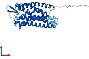 AlphaFold protein structure predicition of Mouse Recombinant Ffar1 Protein, UniprotID Q76JU9