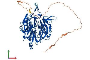 AlphaFold protein structure predicition of Human Recombinant RCC2 Protein, UniprotID Q9P258