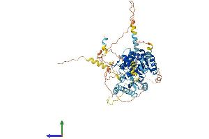 AlphaFold protein structure predicition of Mouse Recombinant Lsg1 Protein, UniprotID Q3UM18