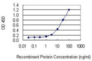 Detection limit for recombinant GST tagged NEDD4L is 0.