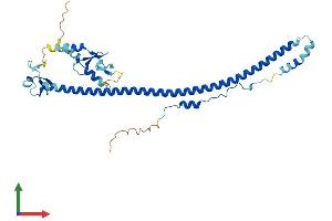 AlphaFold protein structure predicition of Mouse Recombinant Trim63 Protein, UniprotID Q38HM4