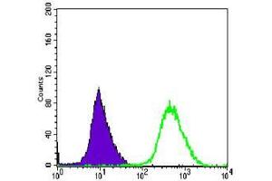 Flow cytometric analysis of Hela cells using MAP2K6 mouse mAb (green) and negative control (purple).