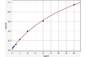 Growth Differentiation Factor 2 (GDF2) ELISA Kit