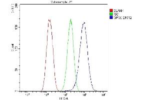 Flow Cytometry analysis of U87 cells using anti-Glypican 5/GPC5 antibody (ABIN7601084). (GPC5 anticorps  (AA 28-538))