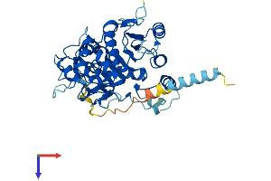 AlphaFold protein structure predicition of Mouse Recombinant B3gnt8 Protein, UniprotID Q8R3I9