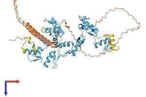 AlphaFold protein structure predicition of Human Recombinant ZNF765 Protein, UniprotID Q7L2R6