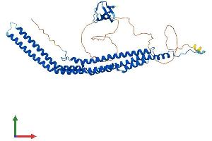 AlphaFold protein structure predicition of Mouse Recombinant Pacsin2 Protein, UniprotID Q9WVE8