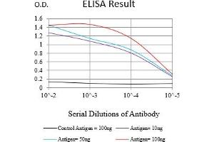 Black line: Control Antigen (100 ng),Purple line: Antigen (10 ng), Blue line: Antigen (50 ng), Red line:Antigen (100 ng) (MSH6 anticorps  (AA 374-540))