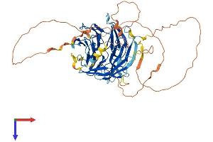 AlphaFold protein structure predicition of Human Recombinant DCAF10 Protein, UniprotID Q5QP82