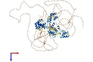AlphaFold protein structure predicition of Human Recombinant ZHX3 Protein, UniprotID Q9H4I2