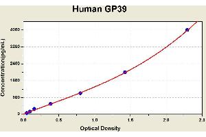 Diagramm of the ELISA kit to detect Human GP39with the optical density on the x-axis and the concentration on the y-axis. (CHI3L1 Kit ELISA)