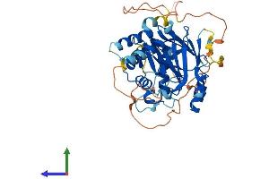 AlphaFold protein structure predicition of Human Recombinant IRF8 Protein, UniprotID Q02556