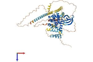 AlphaFold protein structure predicition of Mouse Recombinant Nek11 Protein, UniprotID Q8C0Q4