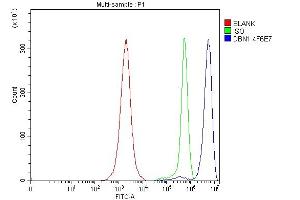 Flow Cytometry analysis of JK cells using anti-DBN1 antibody (ABIN7602637). (DBN1 anticorps  (AA 9-649))