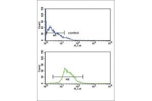 Flow Cytometry (FACS) image for anti-Kynurenine 3-Monooxygenase (Kynurenine 3-Hydroxylase) (KMO) antibody (ABIN3003857)