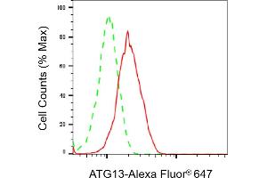Flow cytometric analysis of ATG13 expression in HT- cells using ATG13 antibody (ABIN7797708), 1:2,000).
