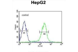 Flow Cytometry (FACS) image for anti-SMAD, Mothers Against DPP Homolog 6 (SMAD6) antibody (ABIN3002311) (SMAD6 anticorps)