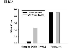 Image no. 4 for Epidermal Growth Factor Receptor (EGFR) ELISA Kit (ABIN625238) (EGFR Kit ELISA)