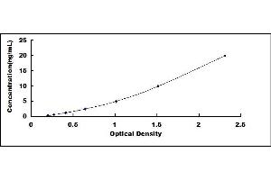 Typical standard curve