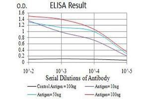 Black line: Control Antigen (100 ng),Purple line: Antigen (10 ng), Blue line: Antigen (50 ng), Red line:Antigen (100 ng) (Neuropilin 1 anticorps  (AA 22-644))