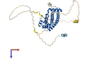 AlphaFold protein structure predicition of Mouse Recombinant Ist1 Protein, UniprotID Q9CX00