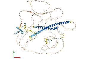 AlphaFold protein structure predicition of Mouse Recombinant Msl1 Protein, UniprotID Q6PDM1