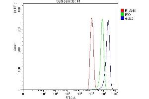 Flow Cytometry analysis of PC-3 cells using anti-GJB2 antibody (ABIN7603054). (GJB2 anticorps  (Middle Region))
