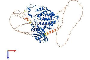 AlphaFold protein structure predicition of Human Recombinant CDC7 Protein, UniprotID O00311