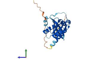 AlphaFold protein structure predicition of Mouse Recombinant Rab3b Protein, UniprotID Q9CZT8