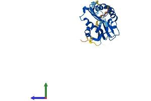 AlphaFold protein structure predicition of Human Recombinant AANAT Protein, UniprotID Q16613