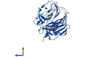 AlphaFold protein structure predicition of Human Recombinant RABEPK Protein, UniprotID Q7Z6M1