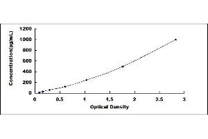 Typical standard curve (IL1F9 Kit ELISA)