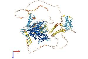 AlphaFold protein structure predicition of Mouse Recombinant Kif1c Protein, UniprotID O35071