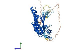 AlphaFold protein structure predicition of Human Recombinant NECAB1 Protein, UniprotID Q8N987