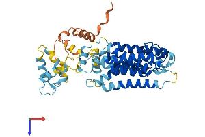 AlphaFold protein structure predicition of Human Recombinant RHBDL3 Protein, UniprotID P58872