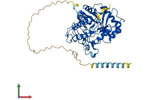AlphaFold protein structure predicition of Human Recombinant MANEA Protein, UniprotID Q5SRI9