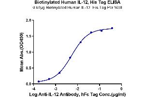 Immobilized Biotinylated Human IL12, His Tag at 0.