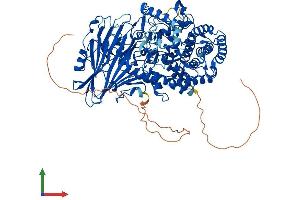 AlphaFold protein structure predicition of Human Recombinant GBA2 Protein, UniprotID Q9HCG7