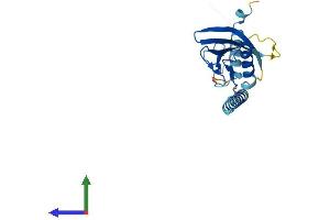 AlphaFold protein structure predicition of Human Recombinant AKAP14 Protein, UniprotID Q86UN6