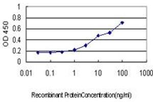 Detection limit for recombinant GST tagged NADK is approximately 0. (NADK anticorps  (AA 1-446))