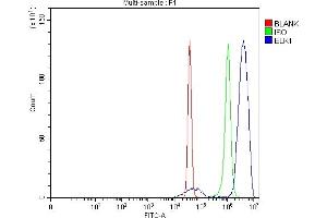 Flow Cytometry analysis of SiHa cells using anti-ELK1 antibody (ABIN7601628).