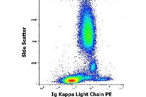 Flow cytometry surface staining pattern of human peripheral whole blood stained using anti-human Ig Kappa Light Chain (TB28-2) PE antibody (10 μL reagent / 100 μL of peripheral whole blood). (kappa Light Chain anticorps  (PE))